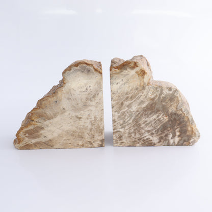 Bookends Petrified Wood - Expert Wholesale and Supplier of Wholesale Crystals & Bulk Gemstones, ["Bookends","Indonesia","Petrified Wood"]