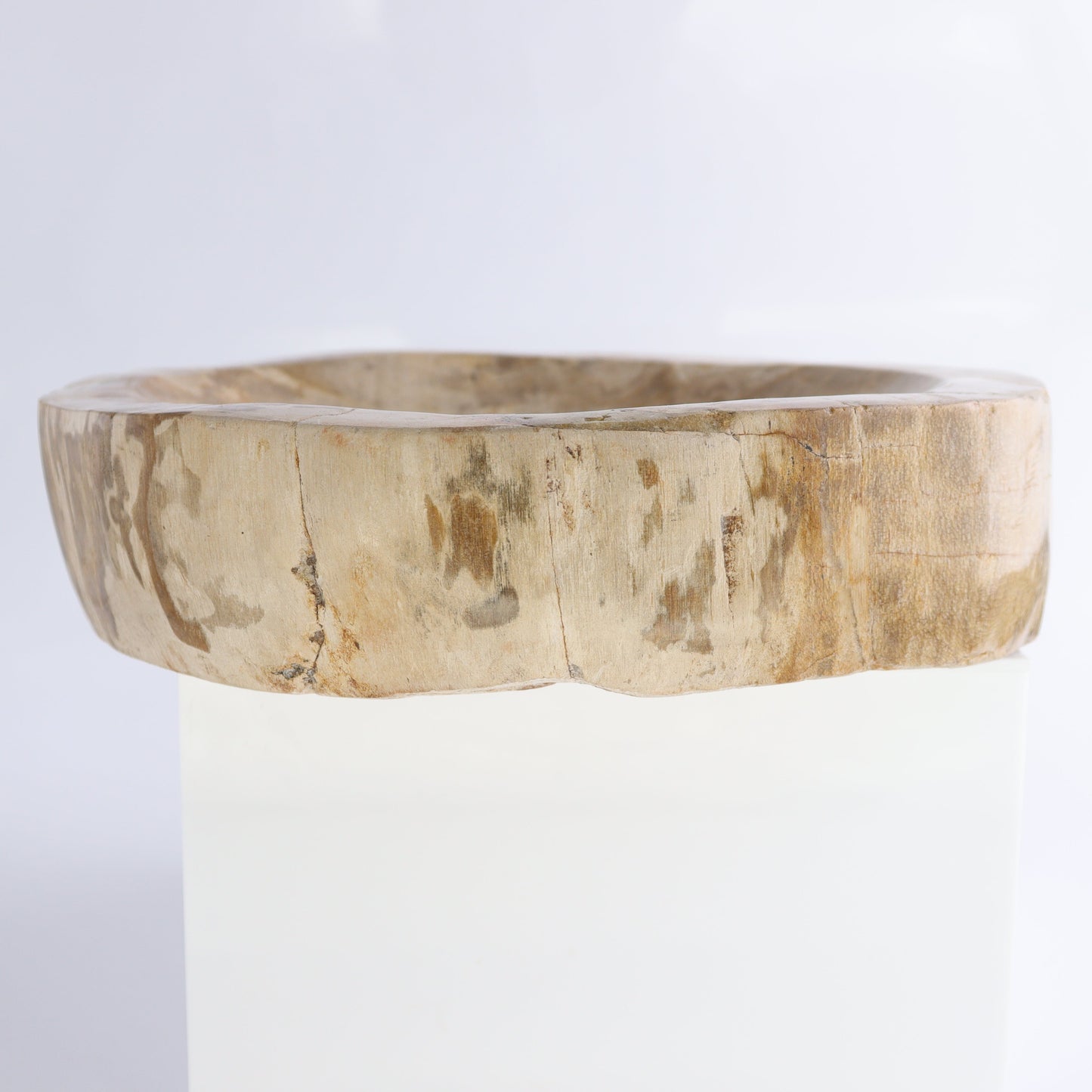 Petrified Wood Bowl - Expert Wholesale and Supplier of Wholesale Crystals & Bulk Gemstones, ["Bowls","Indonesia","Petrified Wood"]