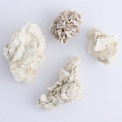 Gypsum ps. Glauberite from Camp Verde Set of 24 - Expert Wholesale and Supplier of Wholesale Crystals & Bulk Gemstones, ["Arizona","Glauberite","Gypsum","Gypsum ps Glauberite","United States"]