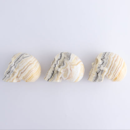 Onyx Skulls Set of 3 - Expert Wholesale and Supplier of Wholesale Crystals & Bulk Gemstones, ["Mexico","onyx","Skulls"]