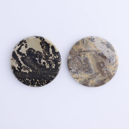 Picture Jasper Discs Set of 10