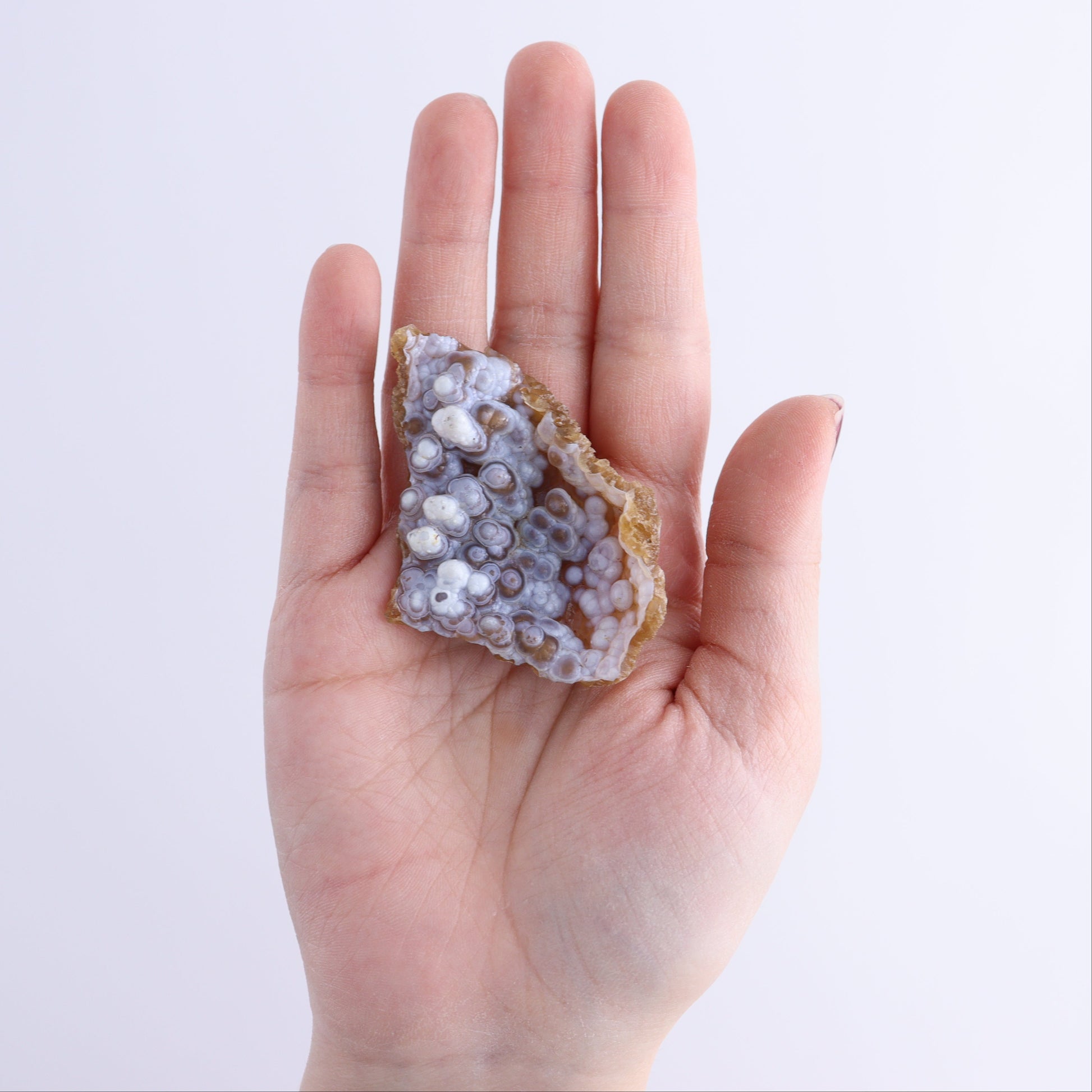 Agatized Coral Flat - Expert Wholesale and Supplier of Wholesale Crystals & Bulk Gemstones, ["Agate","Agatized Coral","Coral","United States"]