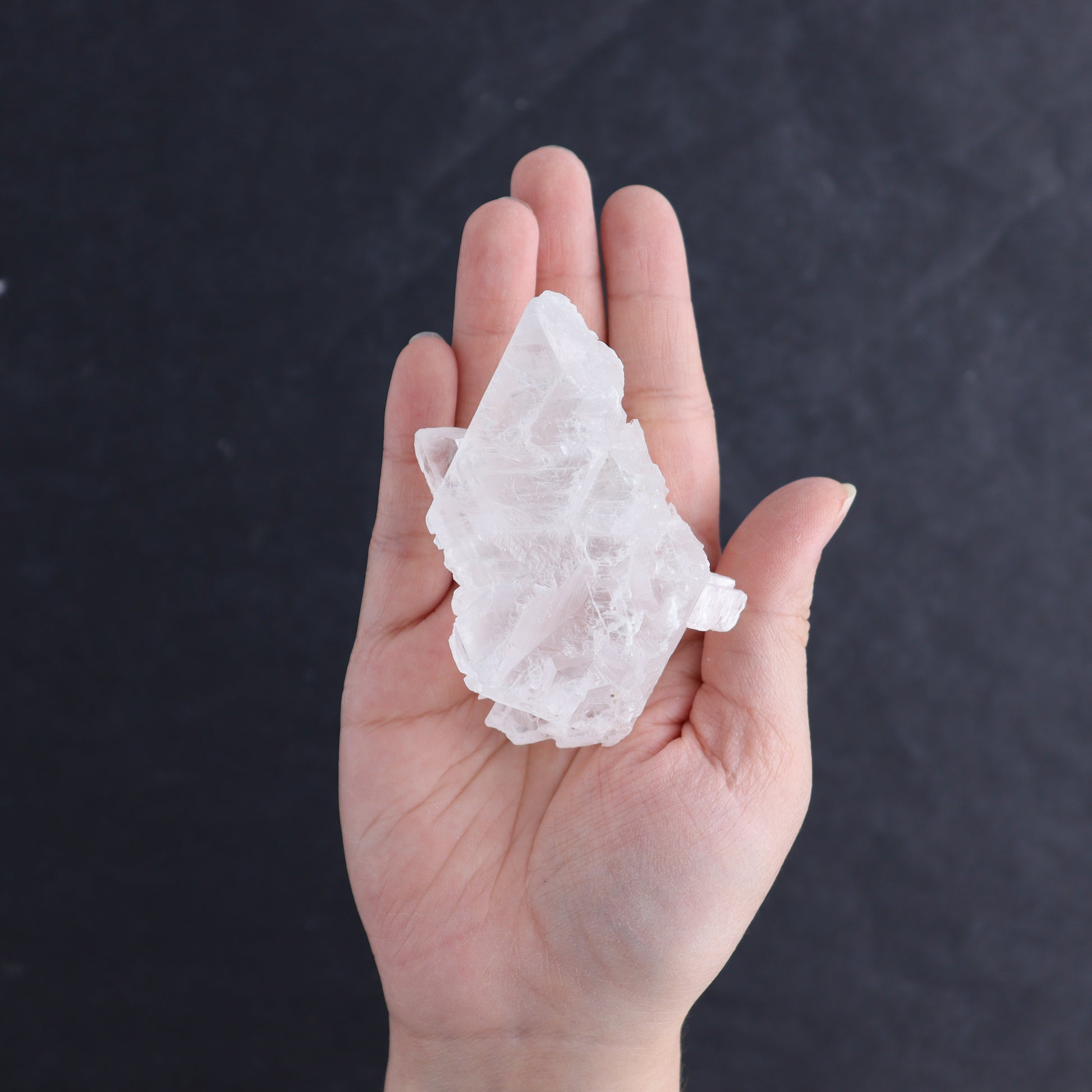 Selenite Set of 12 - Expert Wholesale and Supplier of Wholesale Crystals & Bulk Gemstones, ["Rough","selenite"]