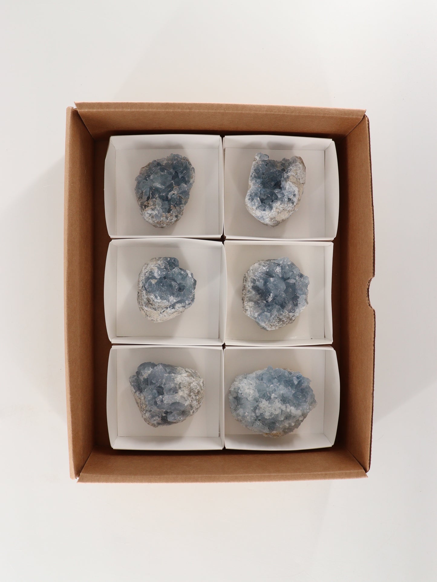 Celestite Clusters Set of 6 - Expert Wholesale and Supplier of Wholesale Crystals & Bulk Gemstones, []