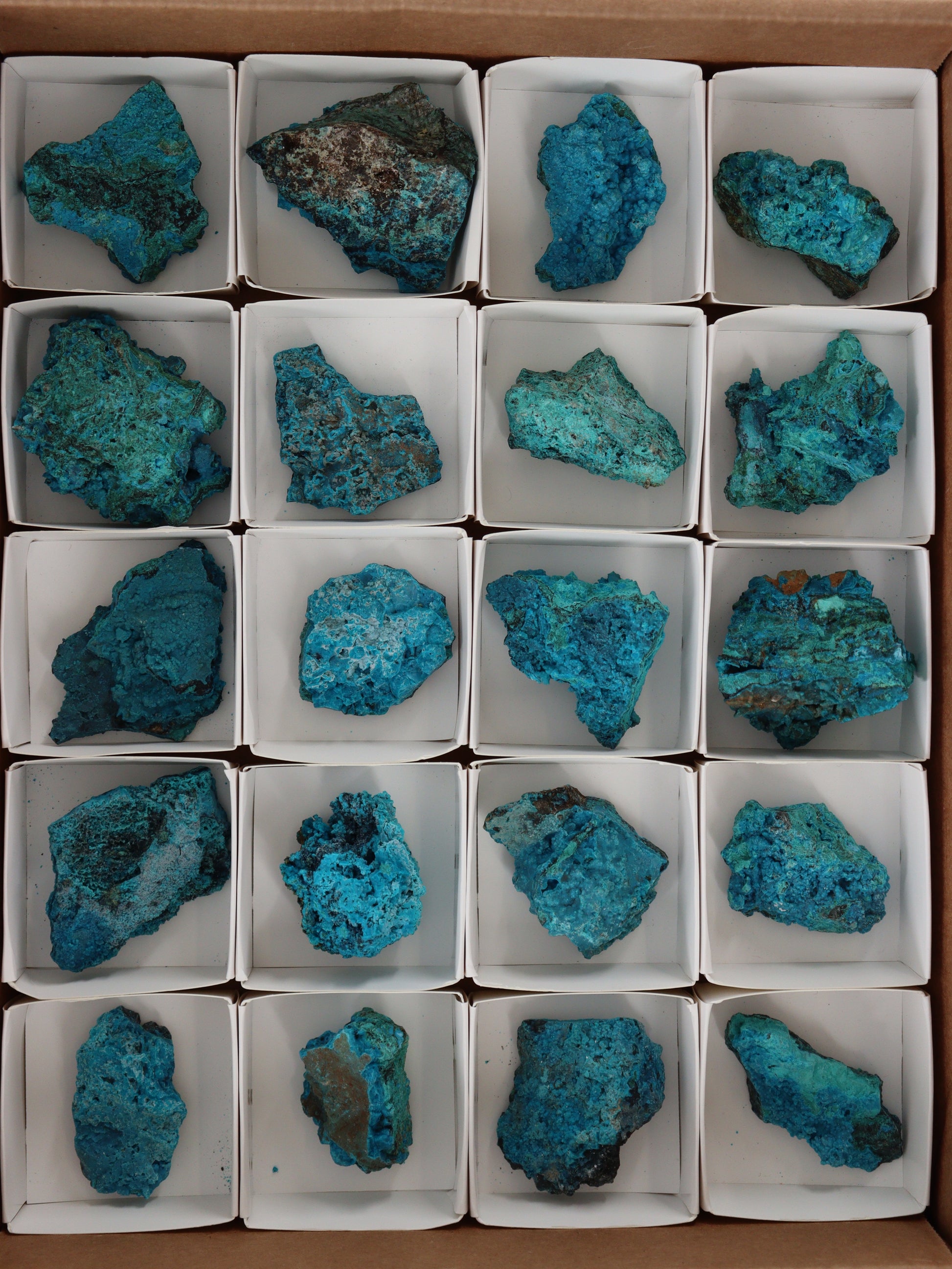 Chrysocolla Flat - Expert Wholesale and Supplier of Wholesale Crystals & Bulk Gemstones, []