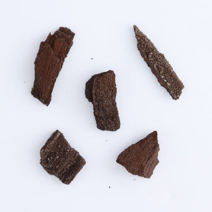 Permineralized Wood Flat of 54