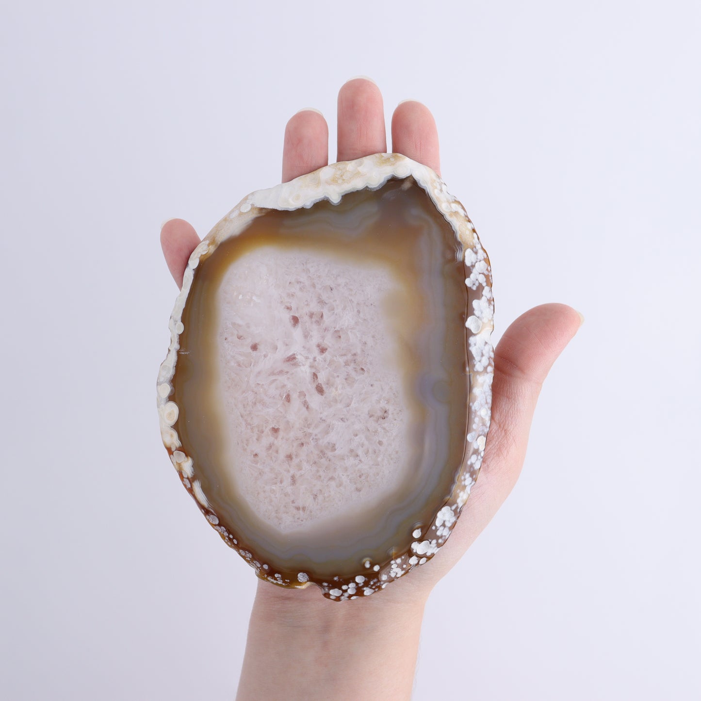 Agate Slices Set of 8 - Expert Wholesale and Supplier of Wholesale Crystals & Bulk Gemstones, ["Agate","Slices and Slabs"]