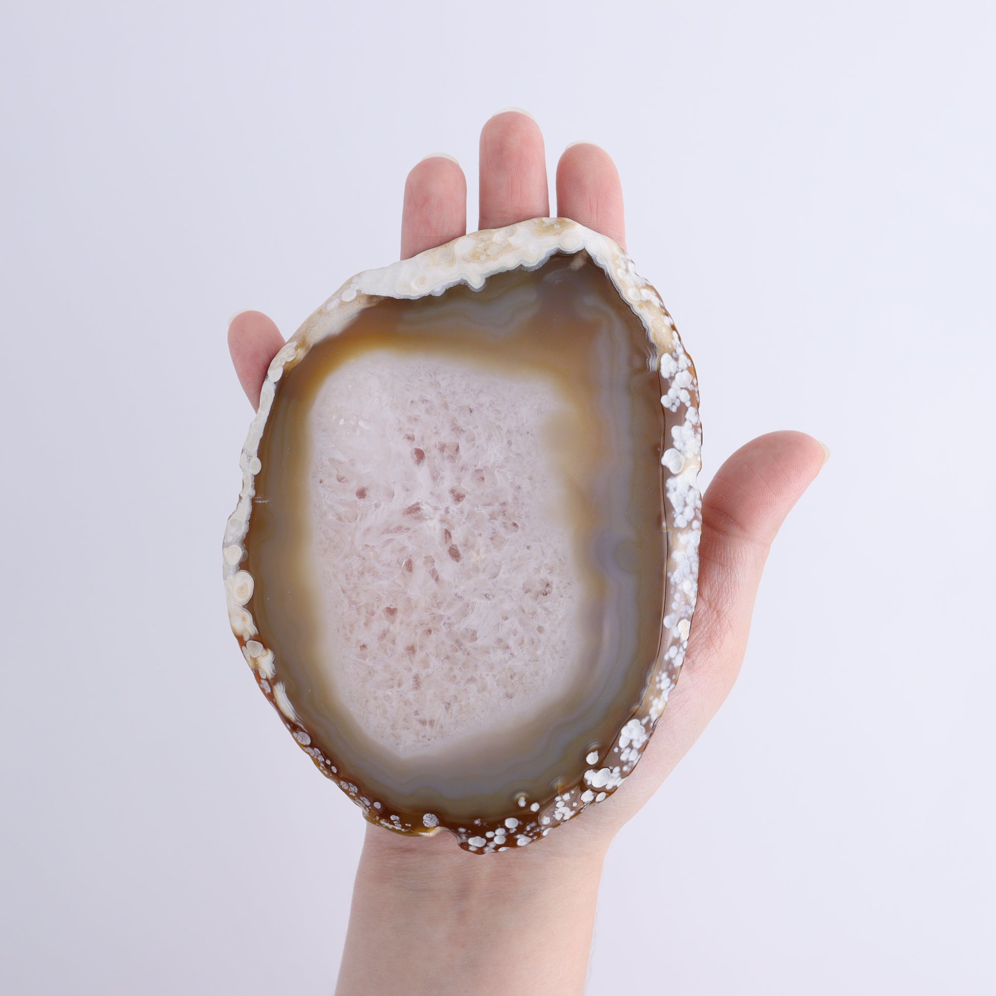 Agate Slices Set of 8 - Expert Wholesale and Supplier of Wholesale Crystals & Bulk Gemstones, ["Agate","Slices and Slabs"]