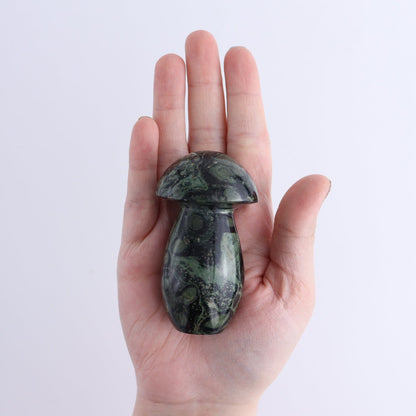 Kambaba Jasper Mushrooms Set of 7