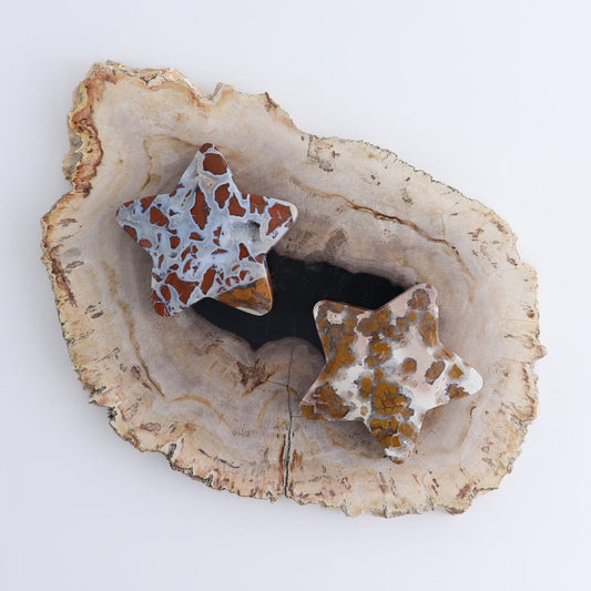 One Star Brecciated Jasper - wholesale crystals