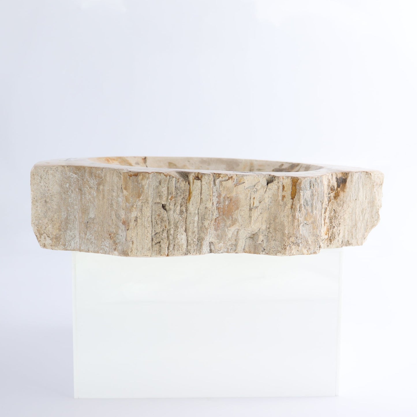 One Petrified Wood Beige Rough Bowl