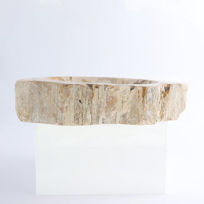 One Petrified Wood Beige Rough Bowl