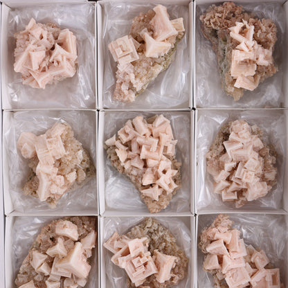 Halite on Trona from Owens Lake Set of 12 - Expert Wholesale and Supplier of Wholesale Crystals & Bulk Gemstones, ["California","Flats","Halite","halite on trona","Pink Halite","United States"]