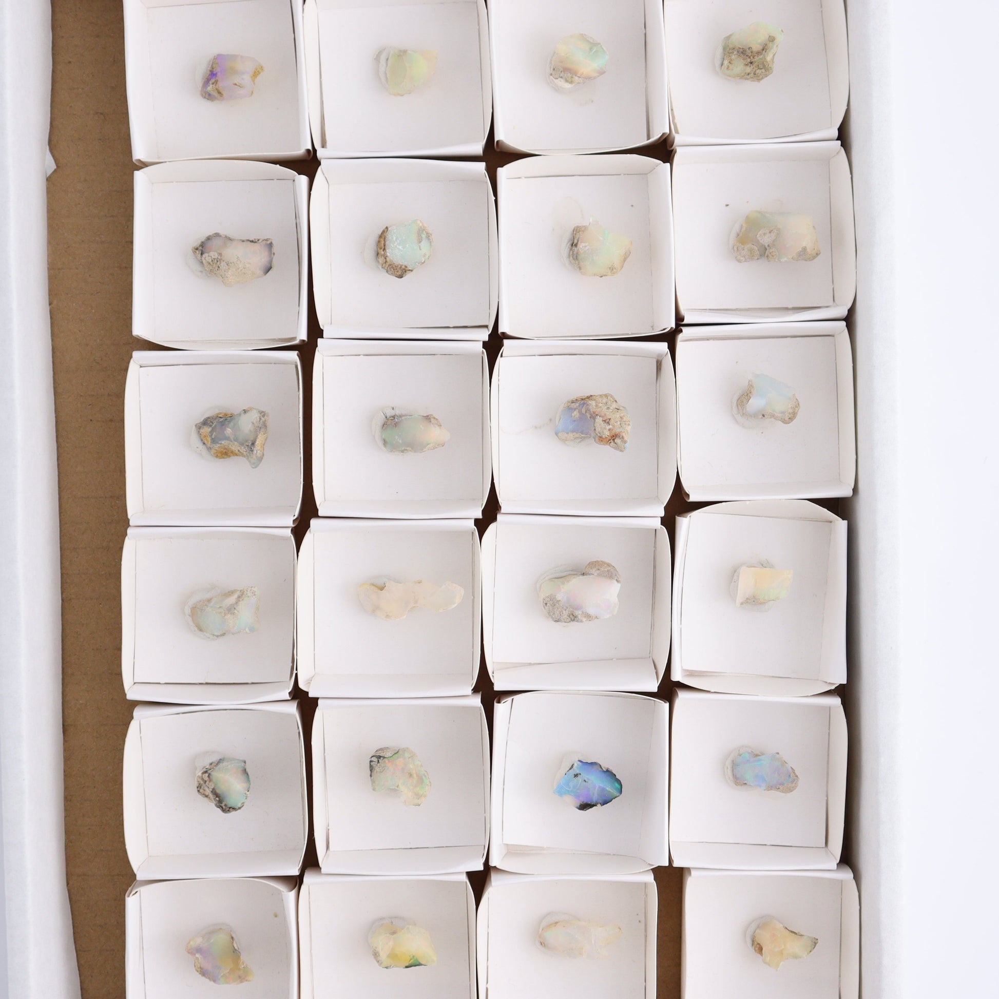 Ethiopian Opal Set of 24 - Expert Wholesale and Supplier of Wholesale Crystals & Bulk Gemstones, ["Ethiopia","ethiopian opal","Opal"]