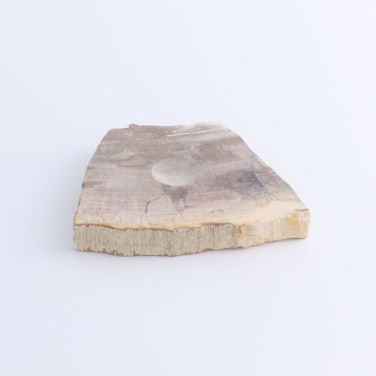 Petrified Wood Sphere Holders Set of 5 - Expert Wholesale and Supplier of Wholesale Crystals & Bulk Gemstones, ["Petrified Wood","sphere holder"]