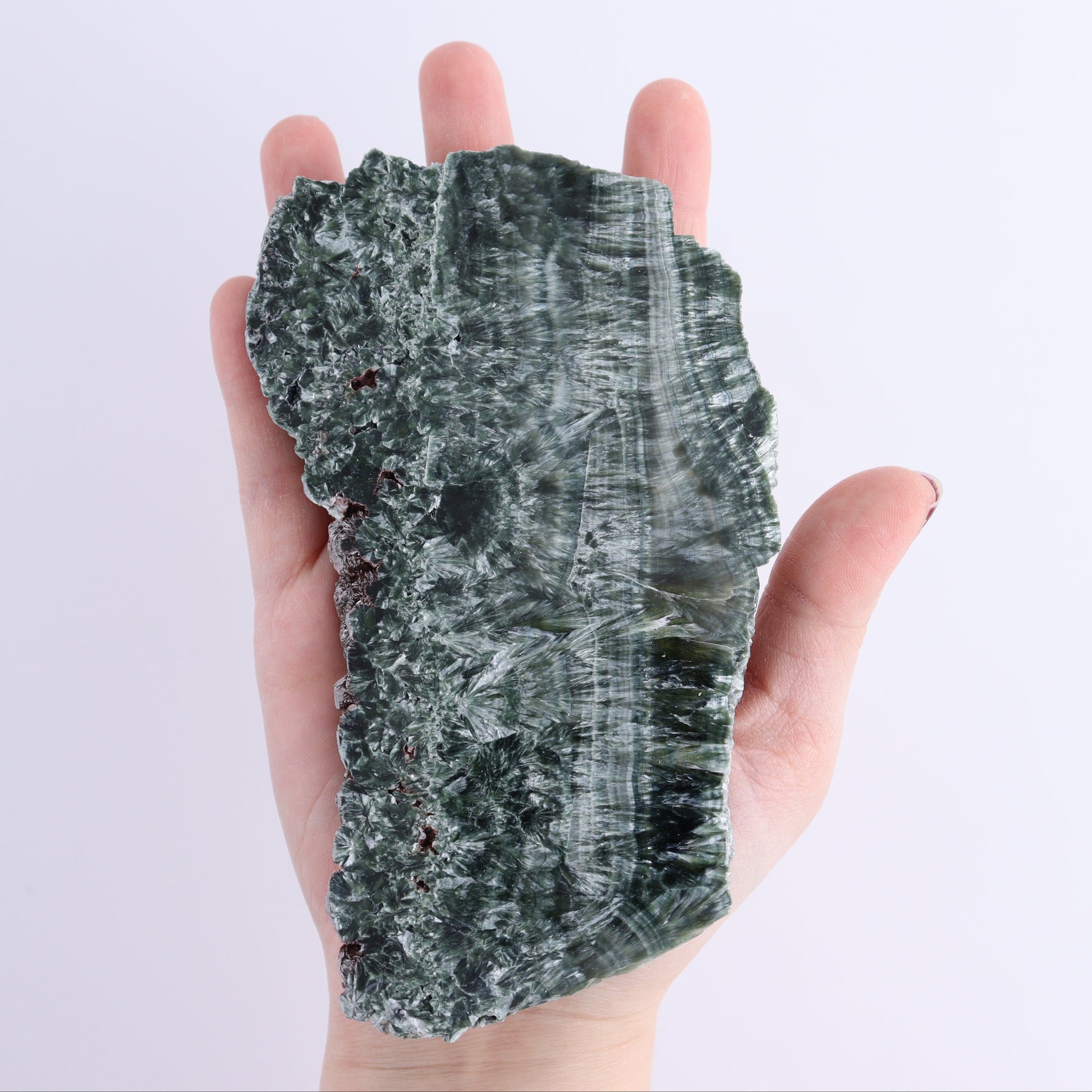 Seraphinite Slices Set of 3 - Expert Wholesale and Supplier of Wholesale Crystals & Bulk Gemstones, ["Russia","Seraphinite","Slices and Slabs"]