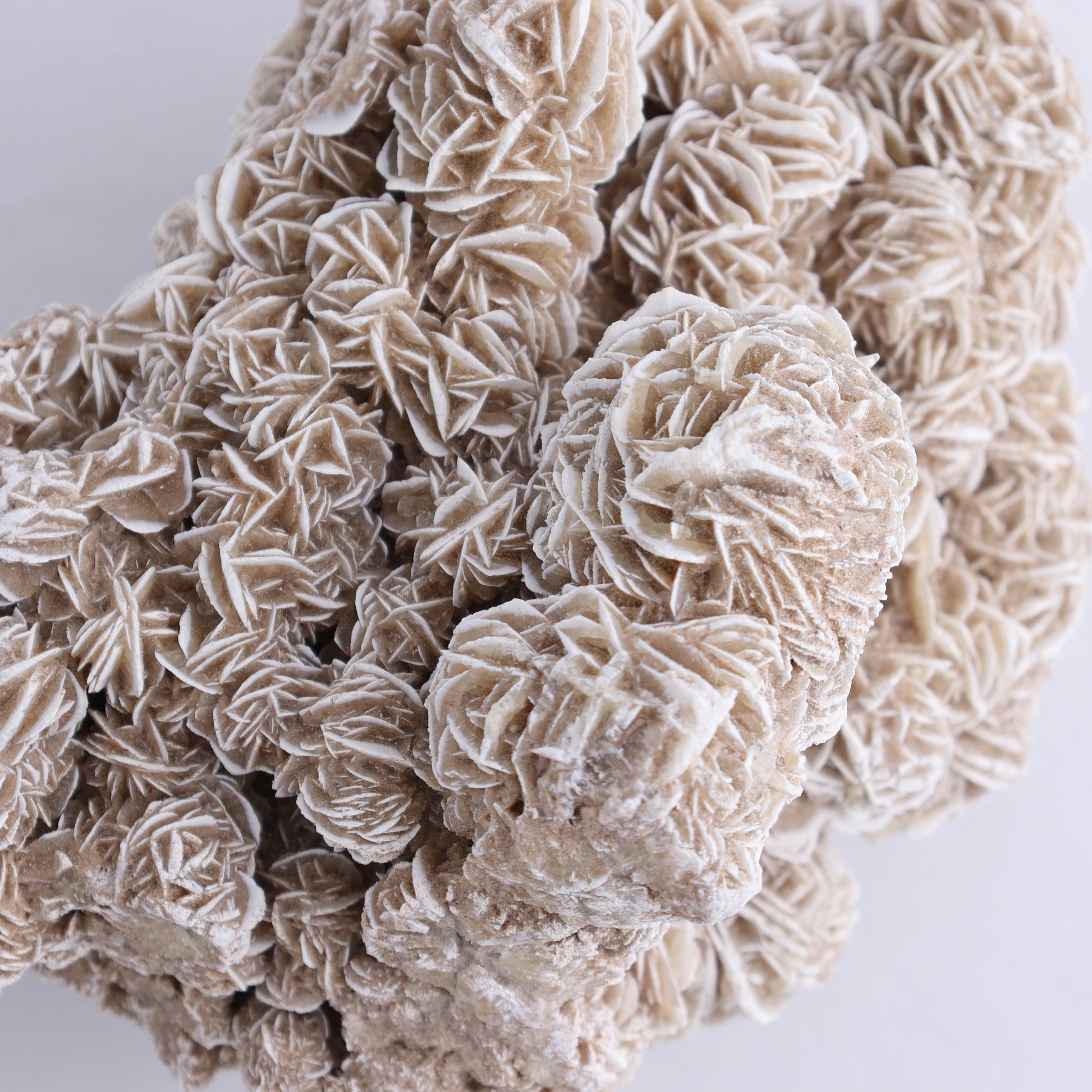 Desert Rose Cluster - Expert Wholesale and Supplier of Wholesale Crystals & Bulk Gemstones, ["Desert Rose","Freeforms"]