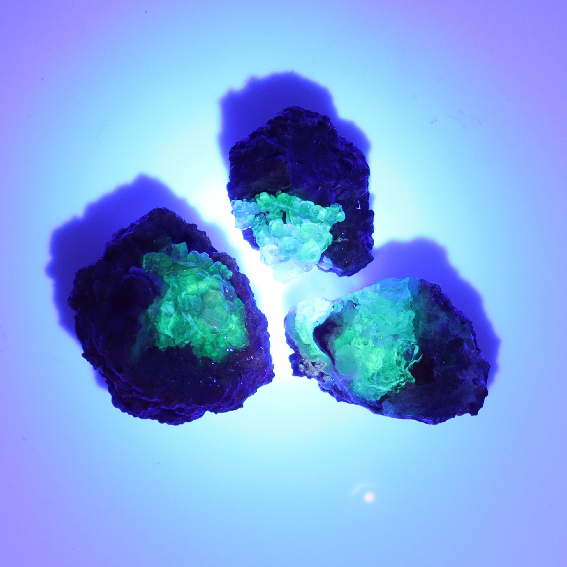 Hyalite Opal Set of 28 - Expert Wholesale and Supplier of Wholesale Crystals & Bulk Gemstones, ["close_30","Flats","Halite","Hyalite Opal","Mexico","Opal"]