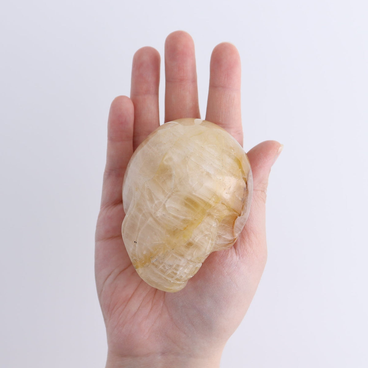 Golden Healer Skulls Set of 4