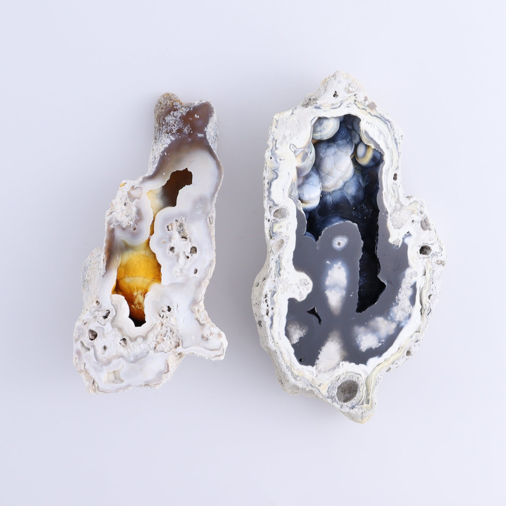 Agatized Coral Flat - Expert Wholesale and Supplier of Wholesale Crystals & Bulk Gemstones, ["Agate","Agatized Coral","Coral","United States"]