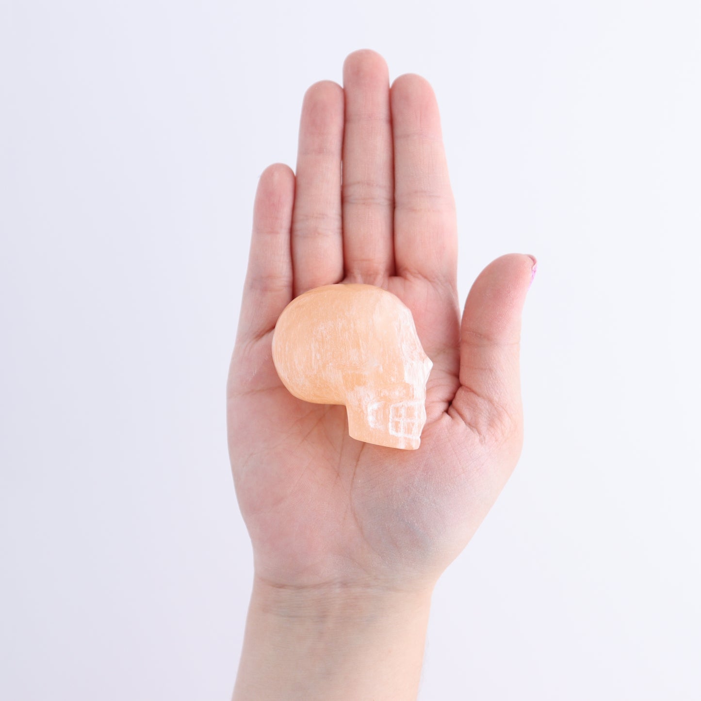 Selenite Skulls Set of 35 - Expert Wholesale and Supplier of Wholesale Crystals & Bulk Gemstones, ["Morocco","selenite","Skulls"]