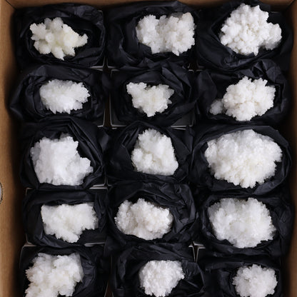 Aragonite Clusters Set of 18 - Expert Wholesale and Supplier of Wholesale Crystals & Bulk Gemstones, ["aragonite","Clusters","Freeforms","Mexico"]