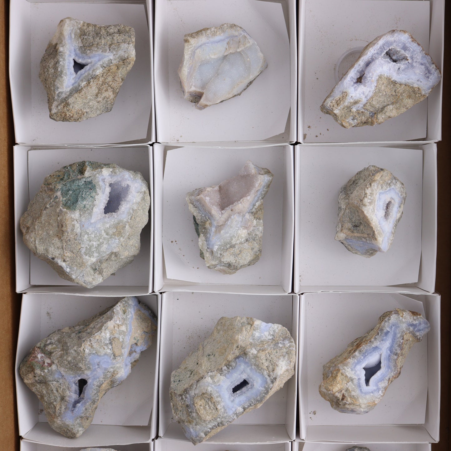 Blue Lace Agate Freeforms Set of 12