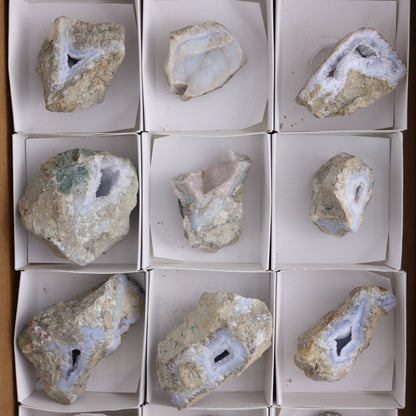 Blue Lace Agate Freeforms Set of 12