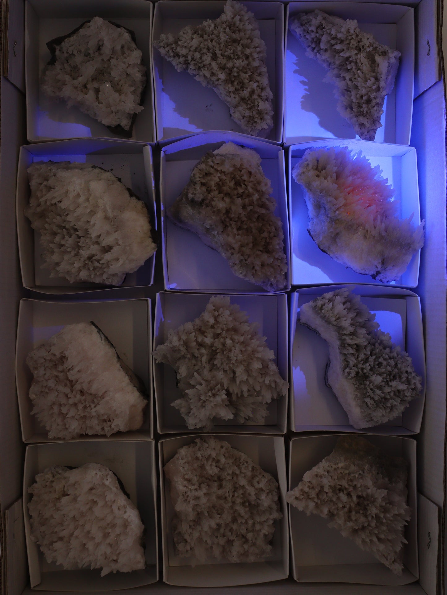 Mangano Calcite Flat Set of 12 - Expert Wholesale and Supplier of Wholesale Crystals & Bulk Gemstones, []