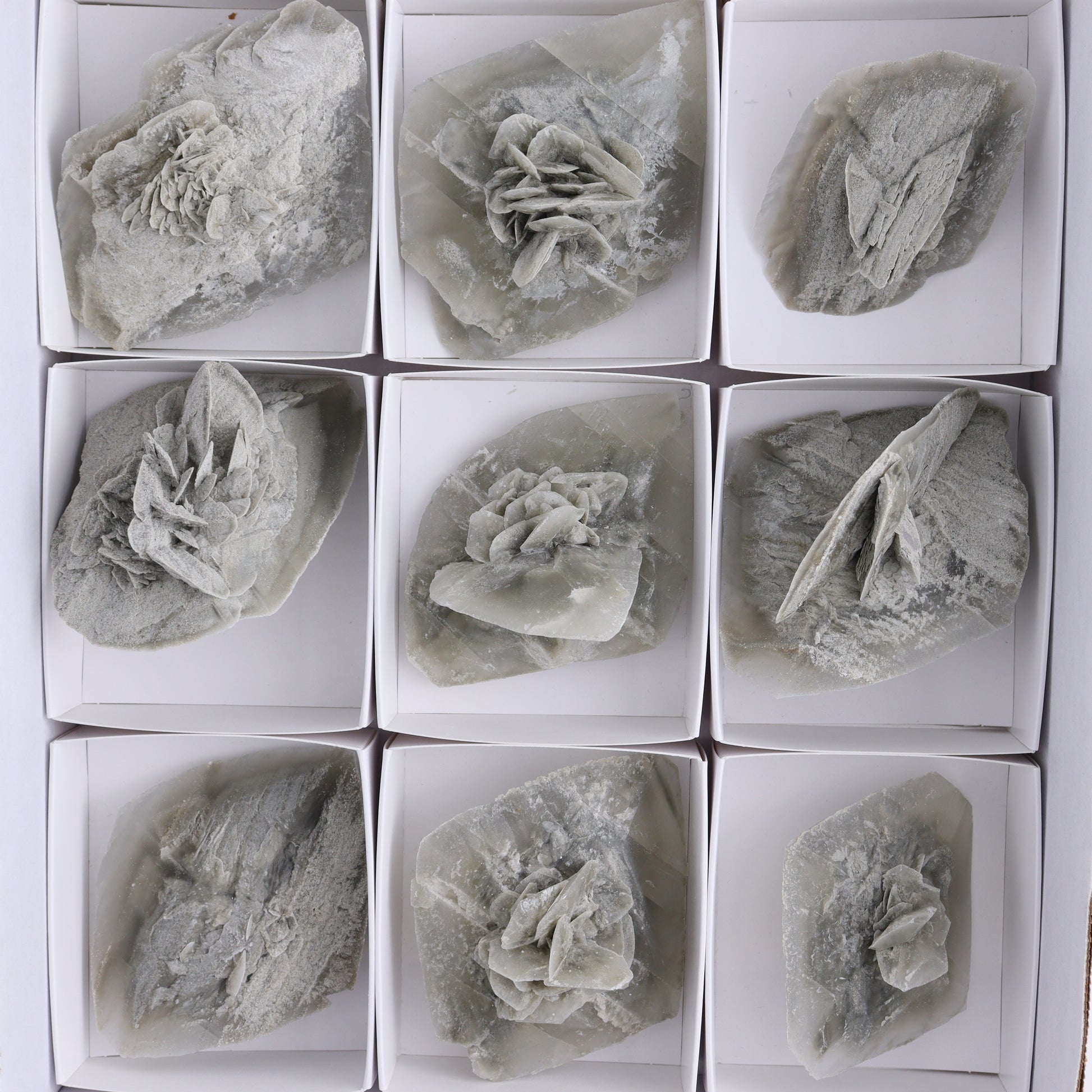 Selenite Clusters Set of 12 - Expert Wholesale and Supplier of Wholesale Crystals & Bulk Gemstones, ["Clusters","selenite"]