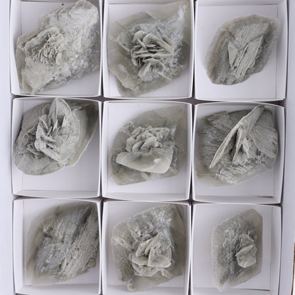 Selenite Clusters Set of 12 - Expert Wholesale and Supplier of Wholesale Crystals & Bulk Gemstones, ["Clusters","selenite"]