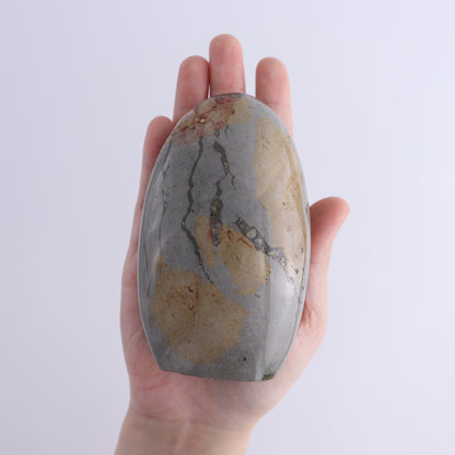 Polychrome Jasper Freeforms Set of 5 - Expert Wholesale and Supplier of Wholesale Crystals & Bulk Gemstones, ["jasper","Madagascar","Polychrome Jasper"]