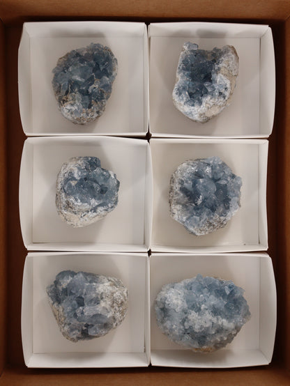 Celestite Clusters Set of 6 - Expert Wholesale and Supplier of Wholesale Crystals & Bulk Gemstones, []