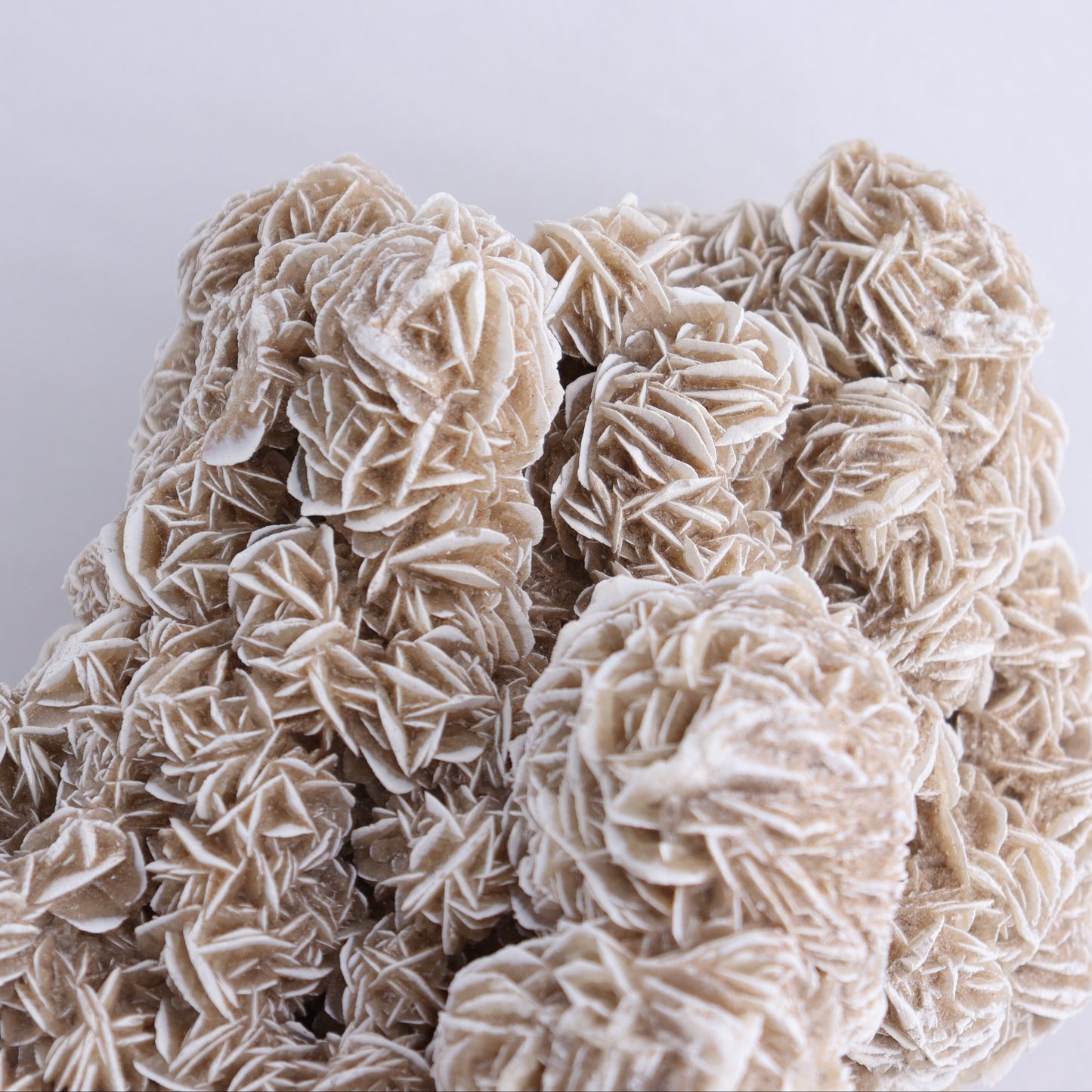 Desert Rose Cluster - Expert Wholesale and Supplier of Wholesale Crystals & Bulk Gemstones, ["Desert Rose","Freeforms"]