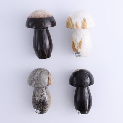 Petrified Wood Mushrooms Set of 4 - Expert Wholesale and Supplier of Wholesale Crystals & Bulk Gemstones, ["Indonesia","Mushrooms","Petrified Wood"]