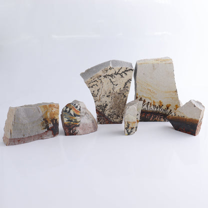 Dendrites Flat Set of 6 - Expert Wholesale and Supplier of Wholesale Crystals & Bulk Gemstones, ["Dendrite","Flats"]