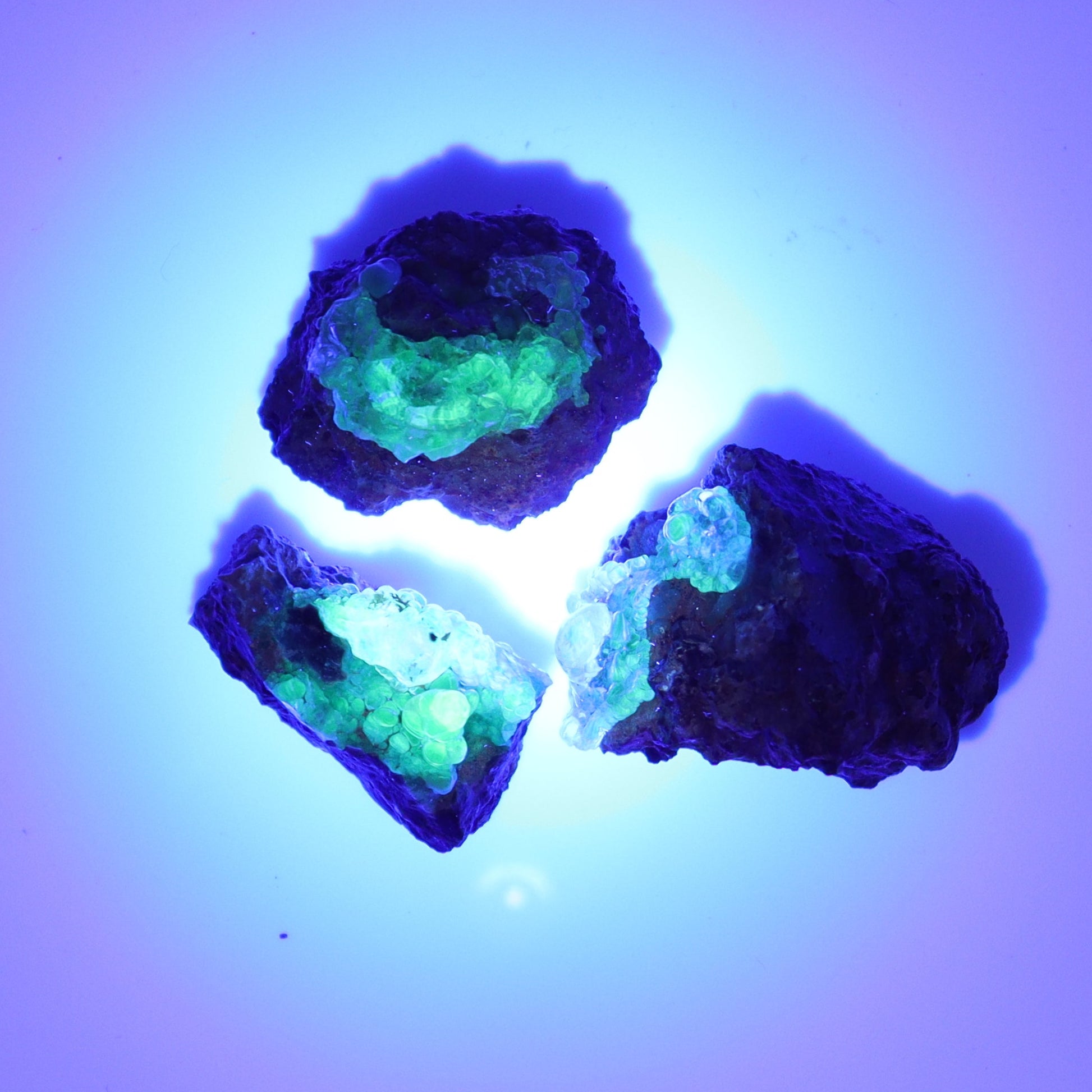 Hyalite Opal Set of 28 - Expert Wholesale and Supplier of Wholesale Crystals & Bulk Gemstones, ["close_30","Flats","Halite","Hyalite Opal","Mexico","Opal"]