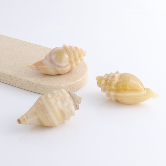 One Mexican Onyx/Calcite Shell Cut Base Beige/Honey