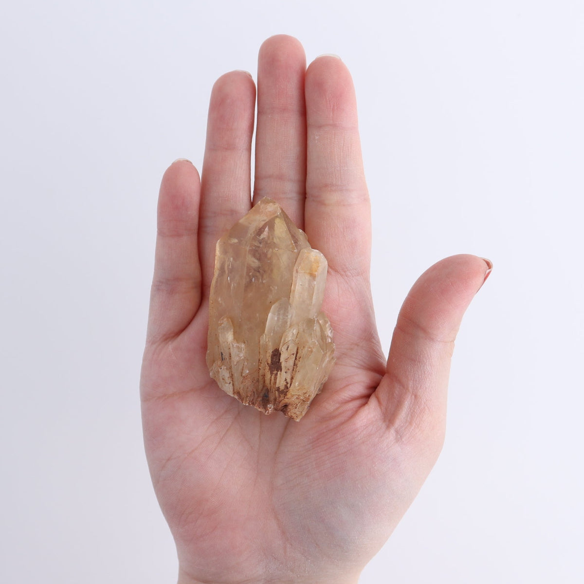 Congo Citrine Set of 12