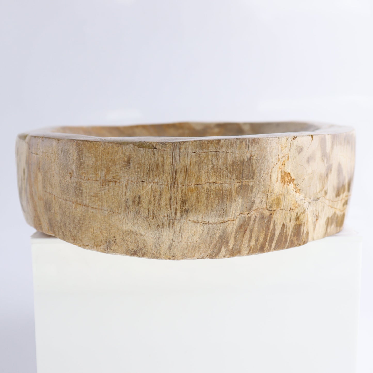 Petrified Wood Bowl - Expert Wholesale and Supplier of Wholesale Crystals & Bulk Gemstones, ["Bowls","Indonesia","Petrified Wood"]