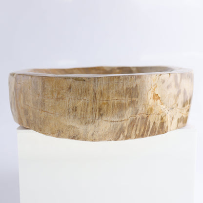 Petrified Wood Bowl - Expert Wholesale and Supplier of Wholesale Crystals & Bulk Gemstones, ["Bowls","Indonesia","Petrified Wood"]