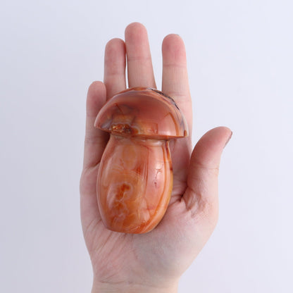 Carnelian Mushrooms Set of 8