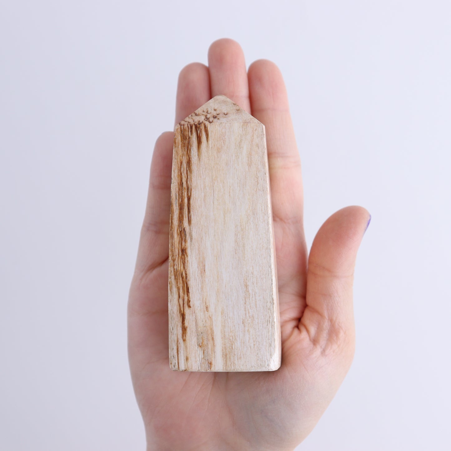 Petrified Wood Towers Set of 4 - Expert Wholesale and Supplier of Wholesale Crystals & Bulk Gemstones, ["Indonesia","Petrified Wood","Towers"]