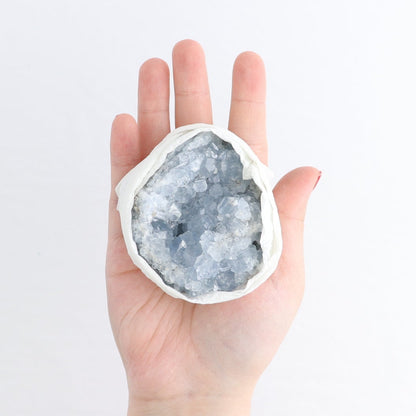 Celestite Clusters Set of 6