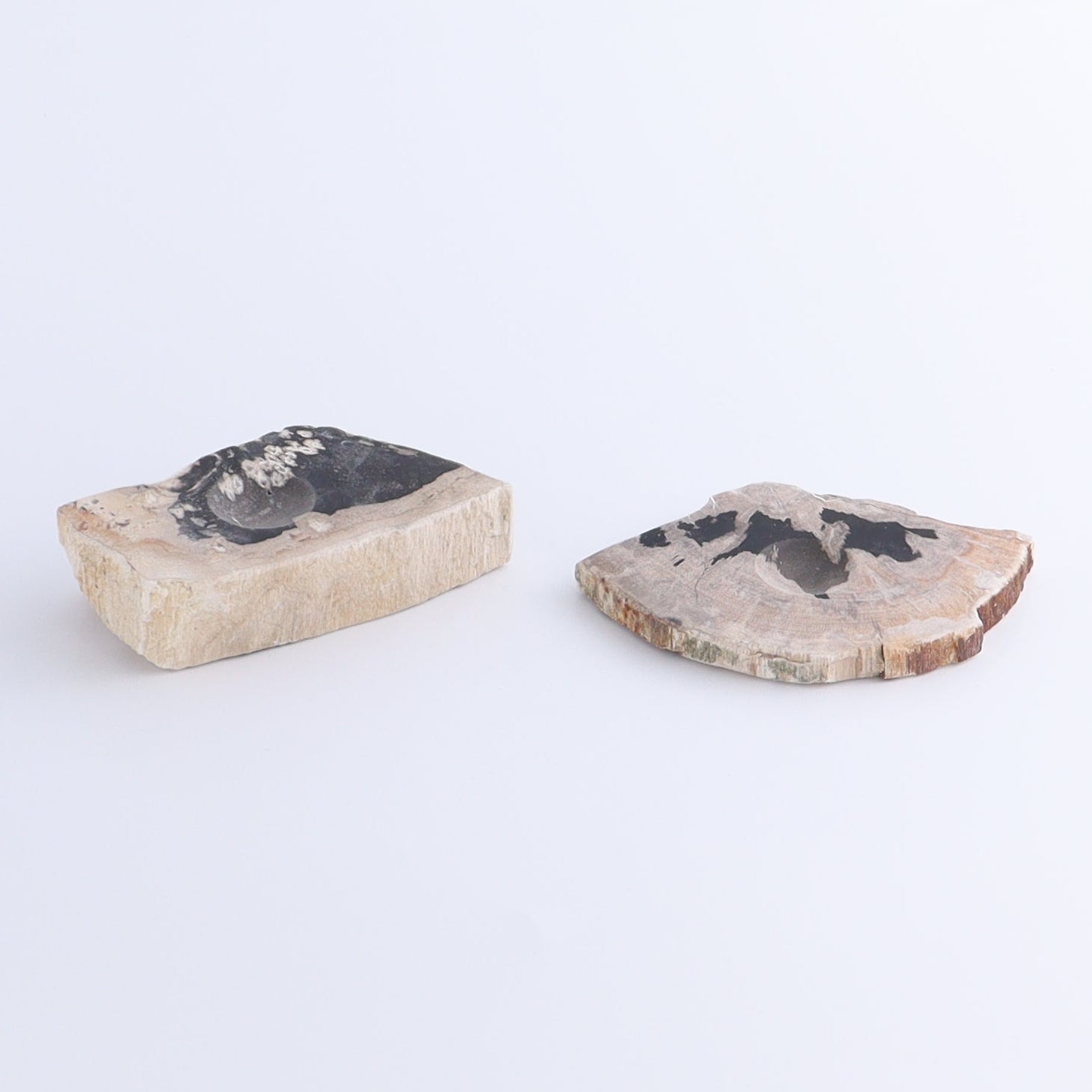 Petrified Wood Sphere Holders Set of 5 - Expert Wholesale and Supplier of Wholesale Crystals & Bulk Gemstones, ["Petrified Wood","sphere holder"]
