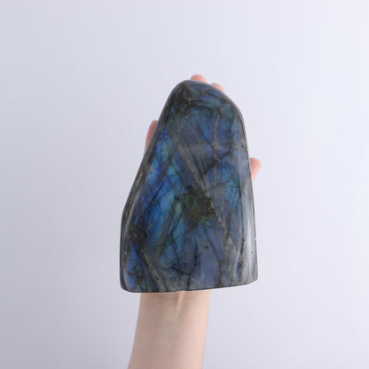 Labradorite Freeform Set of 4 - Expert Wholesale and Supplier of Wholesale Crystals & Bulk Gemstones, ["Freeforms","Labradorite","Madagascar"]