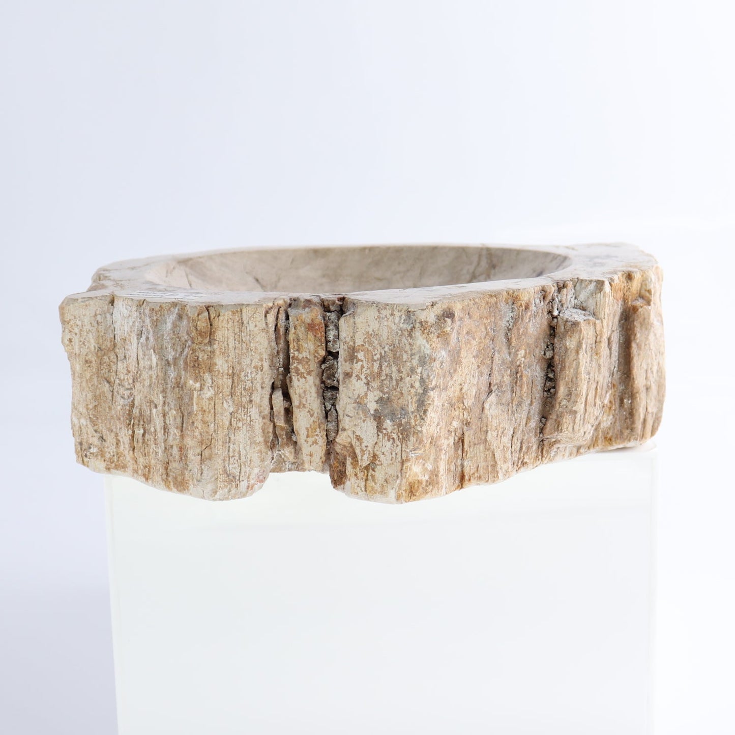 One Petrified Wood Beige Rough Bowl