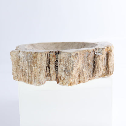 One Petrified Wood Beige Rough Bowl