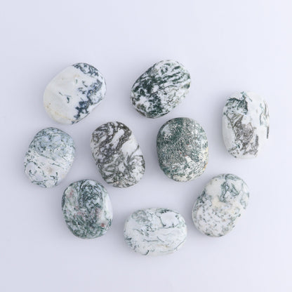 Tree Agate Palm Stones 1 kg Set - Expert Wholesale and Supplier of Wholesale Crystals & Bulk Gemstones, ["Agate","Palm Stones","Tree Agate"]
