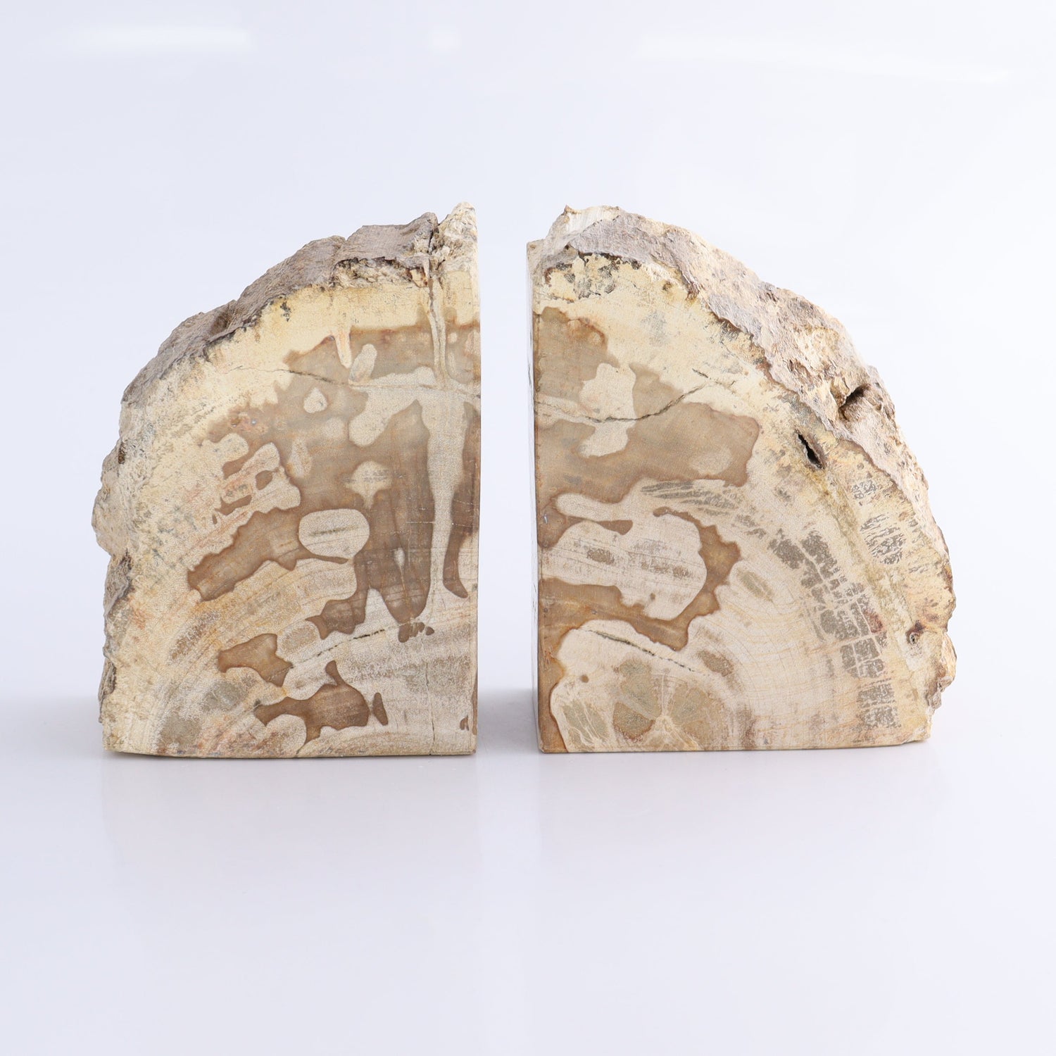 One Pair of Brown/Grey Tall Petrified Wood Bookends - Expert Wholesale and Supplier of Wholesale Crystals & Bulk Gemstones, ["Bookends","Indonesia","Petrified Wood"]